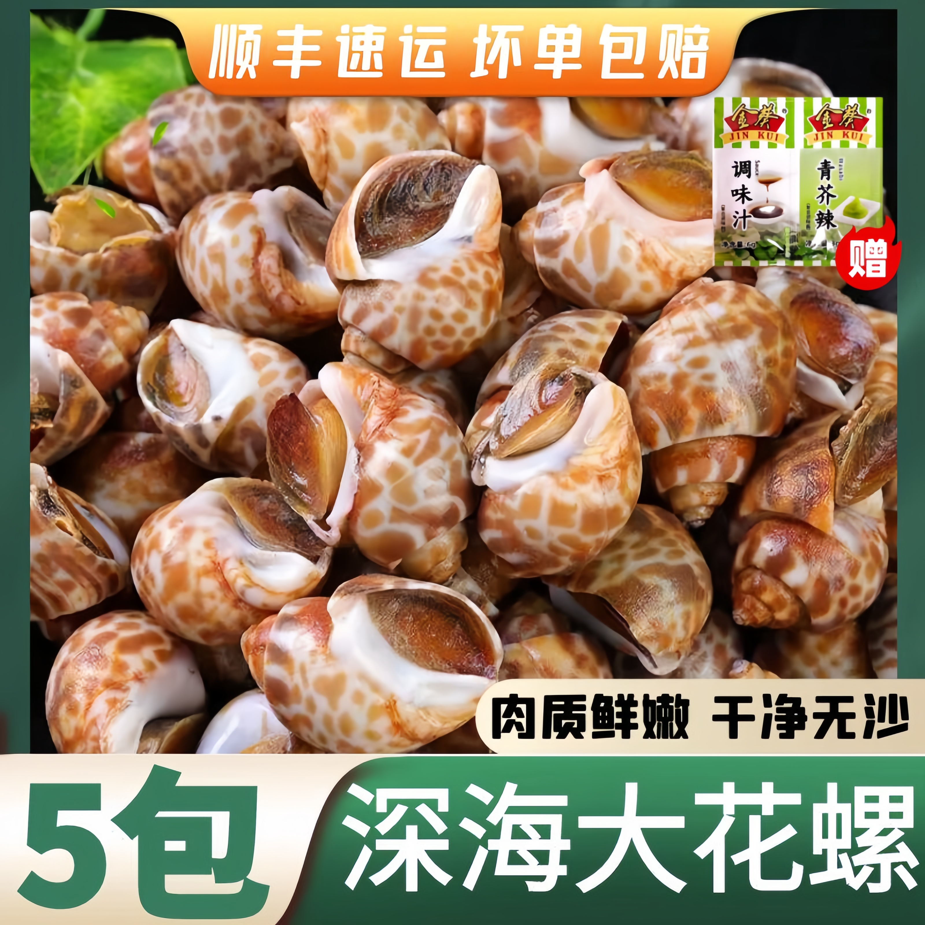 新鲜大花螺鲜活冷冻新鲜无沙花螺螺海螺花螺螺类海鲜水产