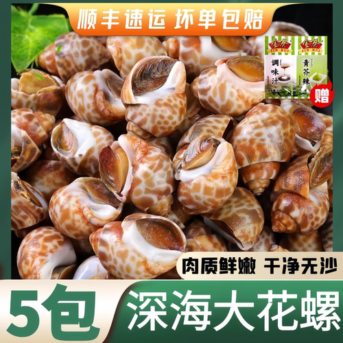 新鲜大花螺鲜活冷冻新鲜无沙花螺螺海螺花螺螺类海鲜水产