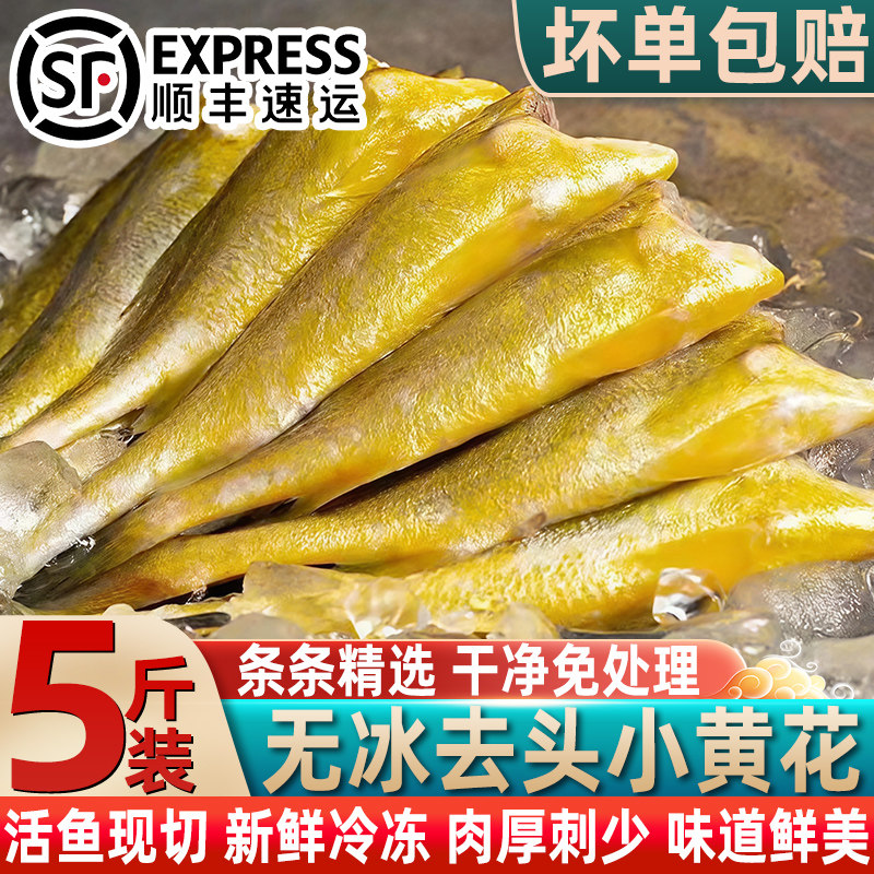 去头小黄鱼无头黄花鱼新鲜冷冻海鲜生鲜海鱼烧烤水产商用顺丰包邮