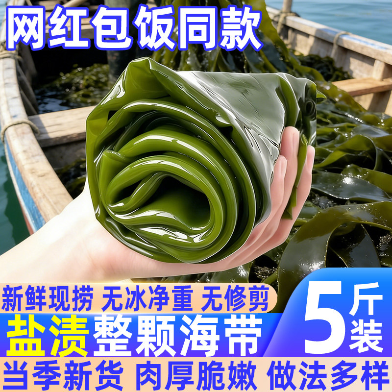 大连无冰盐渍海带5斤肉厚脆嫩
