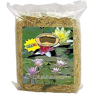 1000 logs Water Barley Straw Clear 8oz Pond Bales Treats