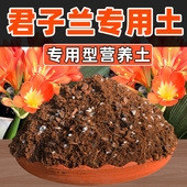 土中土君子兰土专用土透气家用肥料兰花植料君子兰专用营养土 包邮