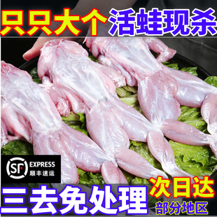 牛蛙鲜活新鲜速冻特大牛蛙腿去内脏去皮烧烤食材冷冻商用水产田鸡