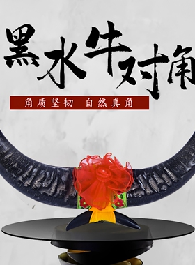 云南天然黑水牛角风水摆件