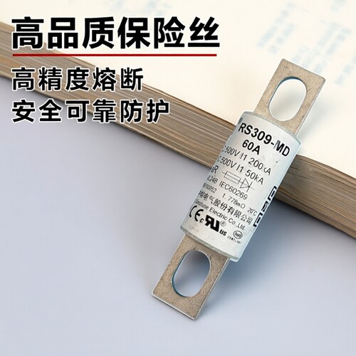 中熔RS309-MD500VDC熔断器