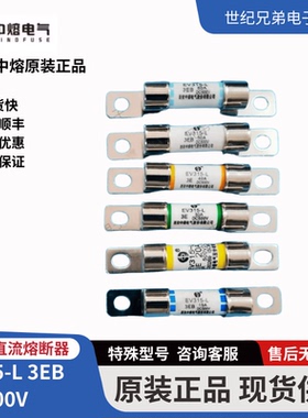 中熔EV315-L-3E 10A15A20A30A40A50A60A500VDC新能源保险丝熔断器