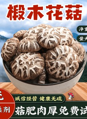 椴木花菇500g菌菇干货食用农产品