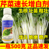 芹菜速长增白剂白芹水芹洋芹冬芹生根壮苗增长增粗专用叶面肥正品