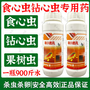 桃小卵虫净桃树苹果树柑橘甘蔗李子树果树虫食心虫钻心虫灭虫杀卵