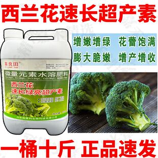 西兰花速长超产素生根壮苗膨大促长花型紧凑增绿增重西蓝花叶面肥