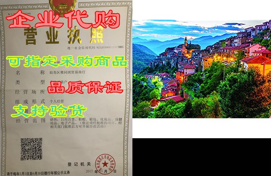 colorcraft 1000 piece jigsaw puzzle, lovely liguria italy