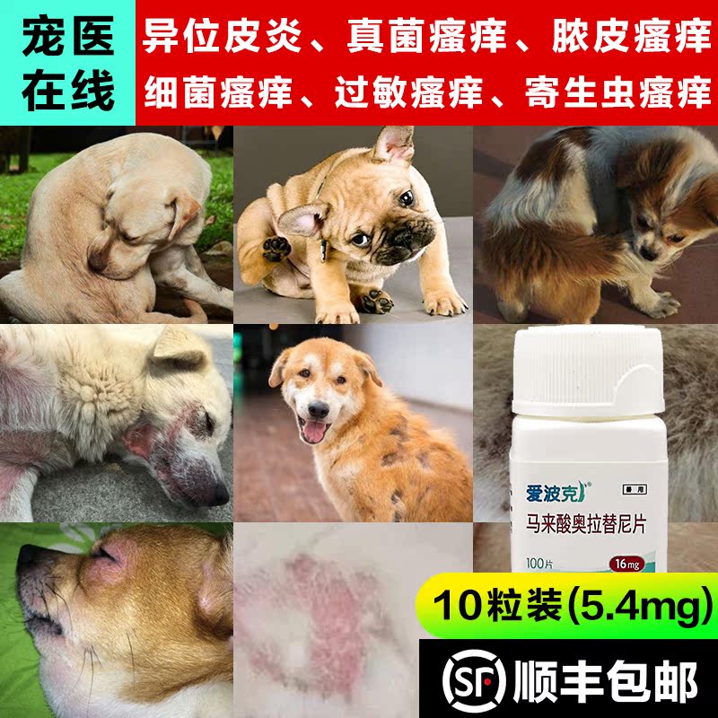 狗狗身上皮肤痒真菌感染细菌螨虫止痒治疗内服皮肤病