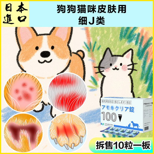 宠物狗狗猫咪皮肤问题解决