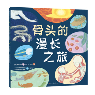 川上和生 5岁以上 有脊椎 生物简史 进化 无脊椎 科普绘本 骨头 陆地 大海 松田素子 漫长之旅 精装