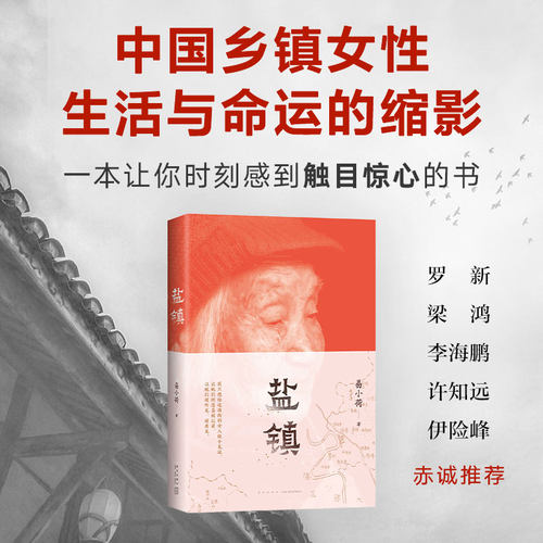新经典易小荷盐镇新星出版社