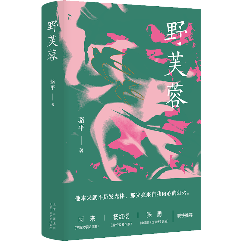 【杨童舒推荐】野芙蓉 骆平 正版包邮（阿来、杨红樱、张勇诚挚推荐，捕捉当代女性的情感困境）新经典