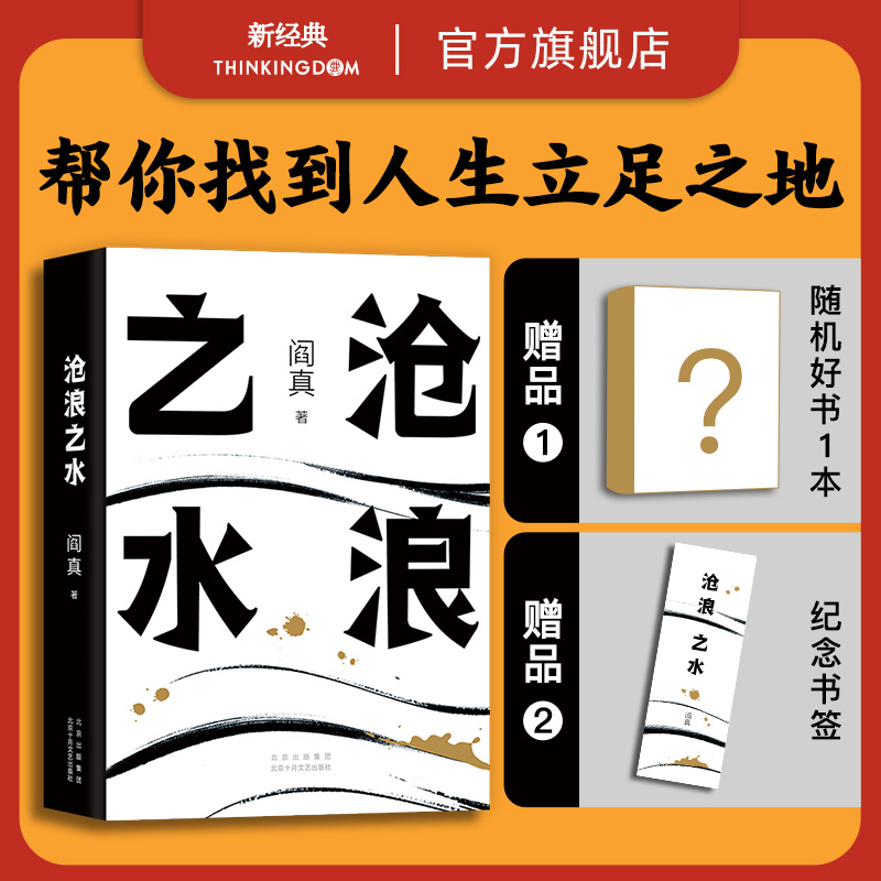 【官方自营】沧浪之水电视剧岁月原著小说现货阎真官场职场畅销励志经典考公国考人民的名义如何是好茅盾文学奖正版包邮图书-封面