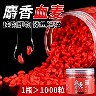 Hạt lúa mì câu cá máu lúa mì hạt thức ăn cho cá cá thực phẩm câu cá hoang dã hố đen cá chép cá trích mồi mồi câu cá đặc biệt cá sắt orochi mồi câu cá rô phi