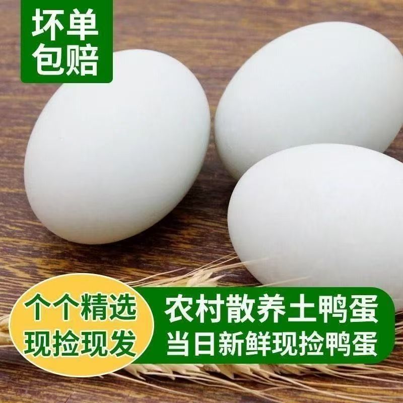 大个新鲜鸭蛋箱批发正宗农家散养绿壳生鸭蛋