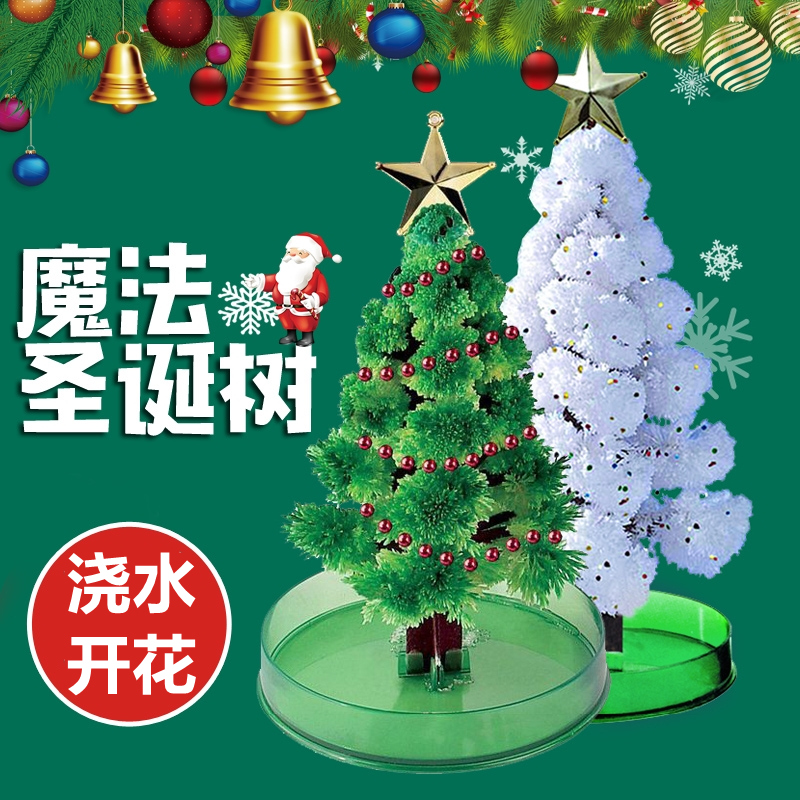 纸树开花浇水会开花的魔法圣诞树