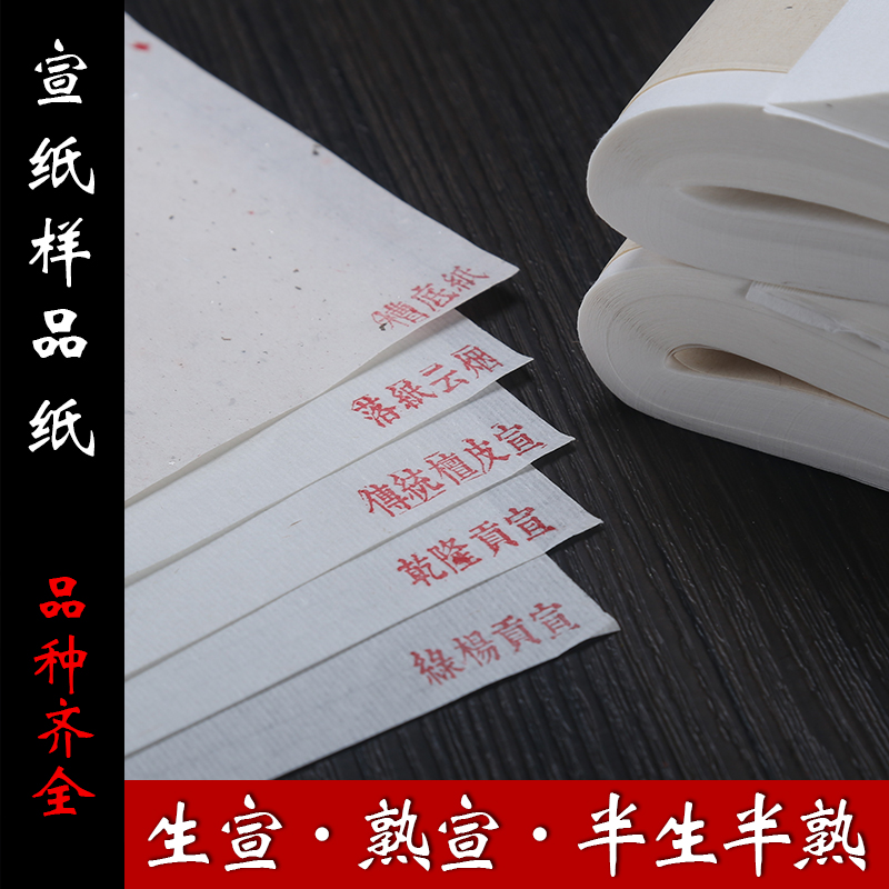 辉宏牌安徽泾县四尺国画书法工笔画小楷创作作品专用纸六尺整张宣纸10张试用装生宣 熟宣半生半熟蝉翼云母