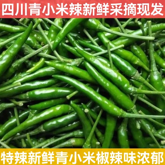 四川剁椒农家自产新鲜青小米辣椒四川青辣椒指朝天椒蔬菜剁椒特辣