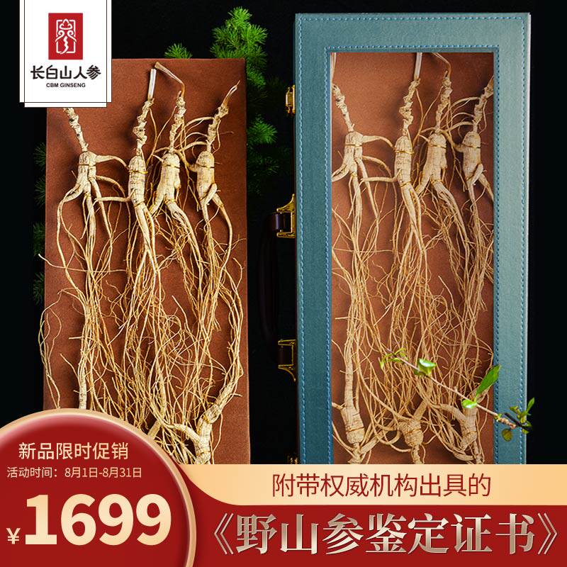 人参长白山野山参国检证书东北特产20年野山参礼盒送长辈礼品50g