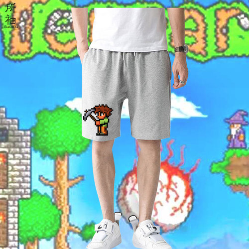 泰拉瑞亚马赛克青少年夏季短裤