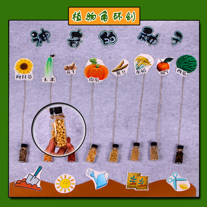 幼儿园小中大班植物区角环创主题墙布置神奇的种子科学区益智材料