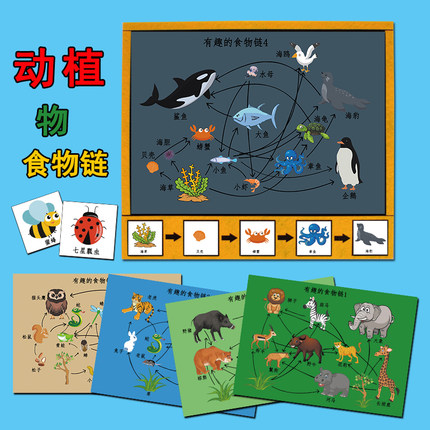 幼儿园大中班科学区域角动植物有趣的食物链益智玩教具游戏材料包