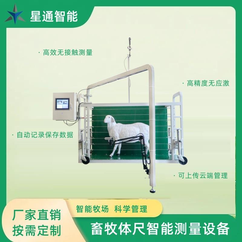 牛羊体尺数据自动测量设备AI模型深度相机高精准无接触测量自动化