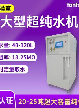 实验室超纯水机40-200升/小时制水量电阻率18.25中式超纯水机