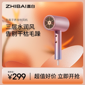 直白负离子吹风机家用发廊大功率电吹风水润速干护发学生宿舍风筒
