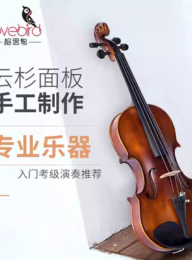 相思鸟小提琴官方旗舰店实木手工成人考级演奏儿童初学者专业乐器