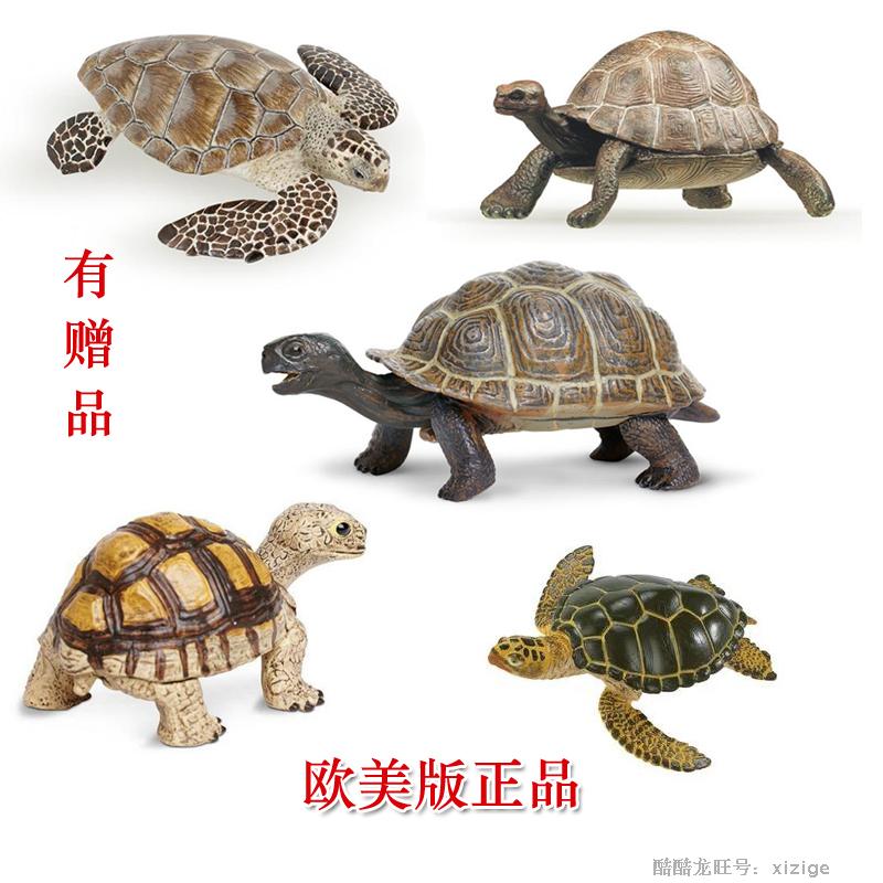 龟静态模型玩具海龟陆龟万年龟摆件玩偶道具中性礼物