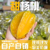 新鲜应季 包邮 水果化州红阳桃 源头产地直发 甜杨桃 广东茂名杨桃