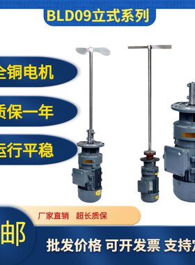 BLD系列液体加药搅拌机污水池搅拌机工业洗洁精搅拌机纯铜芯电机