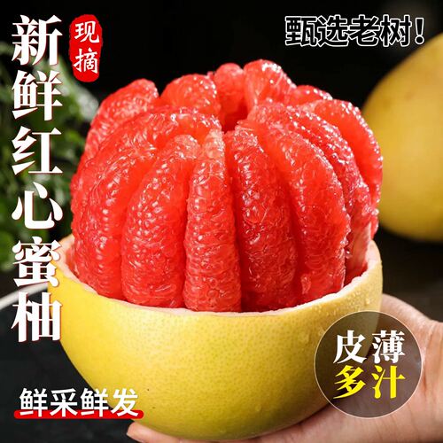 福建平和新鲜现摘红心柚子三红柚