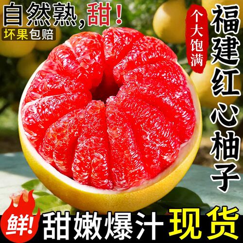 福建平和新鲜现摘红心柚子三红柚