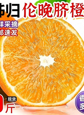 橙子新鲜大果伦晚脐橙湖北宜昌秭归甜橙孕妇现摘当季应季整箱水果