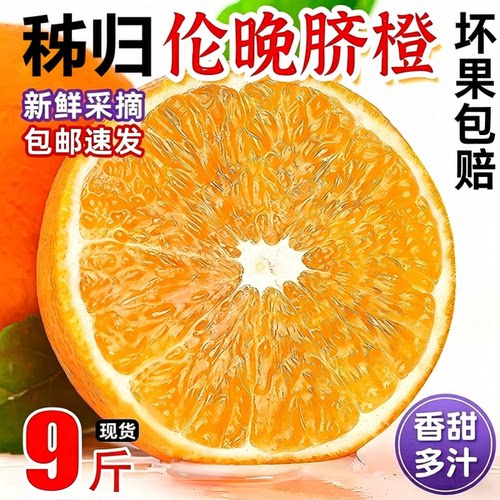 湖北宜昌秭归伦晚脐橙
