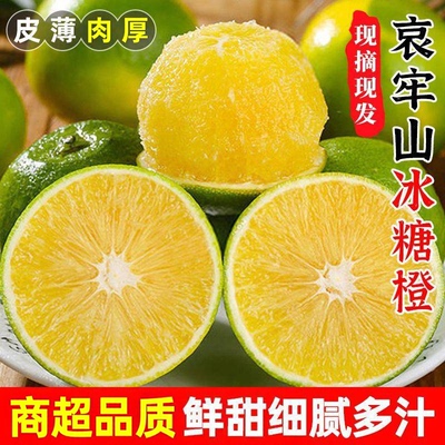 现货正宗云南冰糖橙子哀牢山