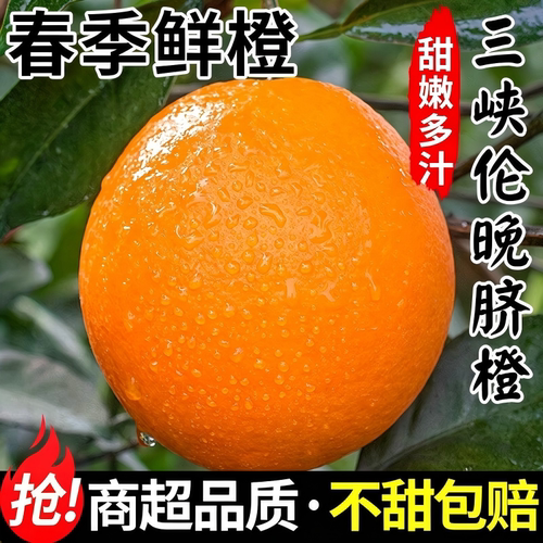 湖北宜昌秭归伦晚脐橙
