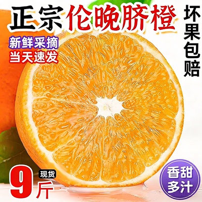 湖北宜昌秭归伦晚脐橙