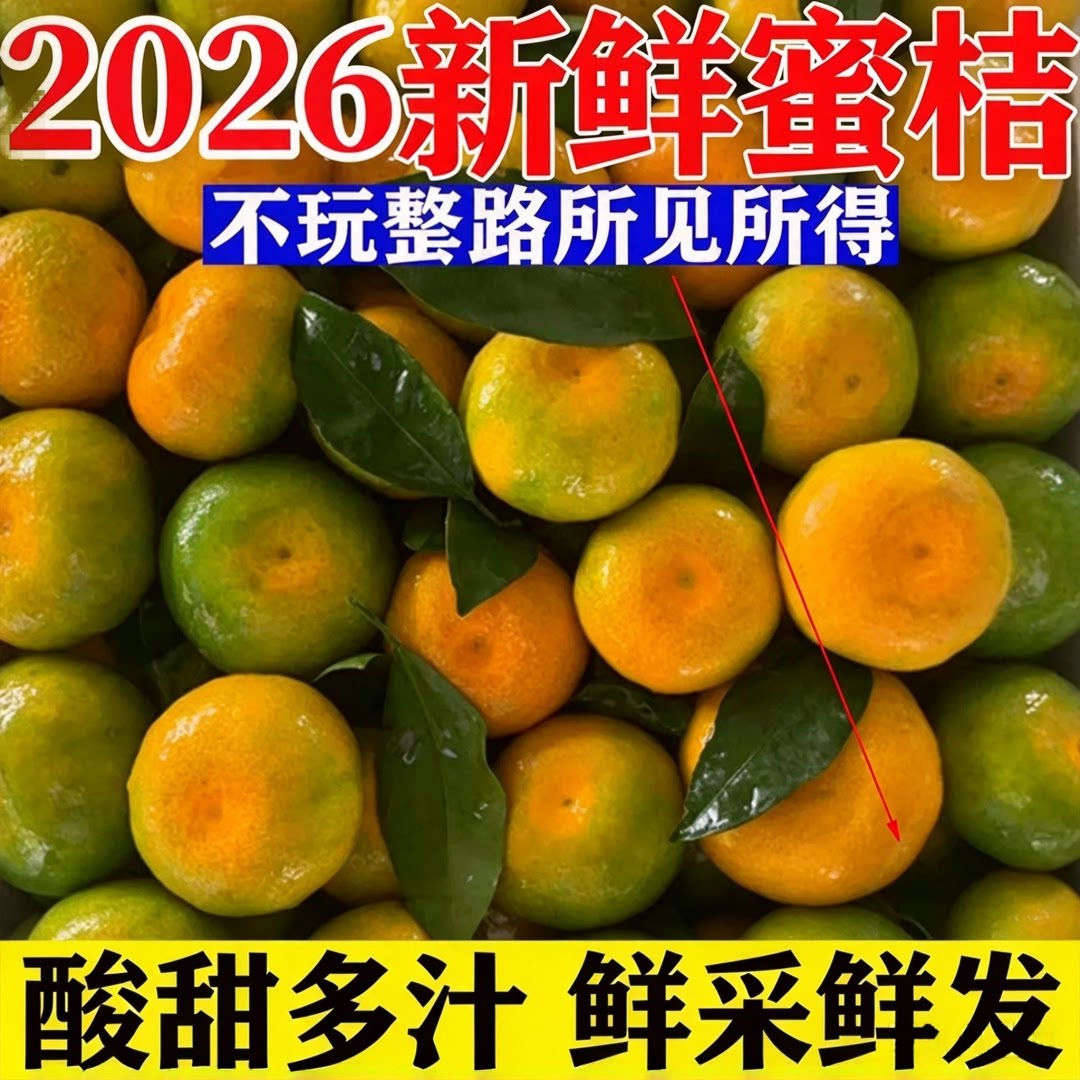 宜昌蜜橘桔子9斤早熟无籽新鲜橘子孕妇水果整箱包邮当季青皮柑橘
