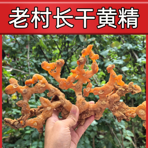 三蒸三晒黄精干泡酒泡茶可切片