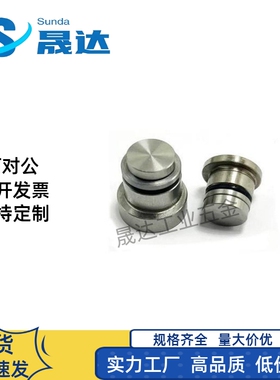 直线导轨用定位销LLT3.5 LLTS5 LLT5 偏心销ICE11-T5不锈钢轴效直