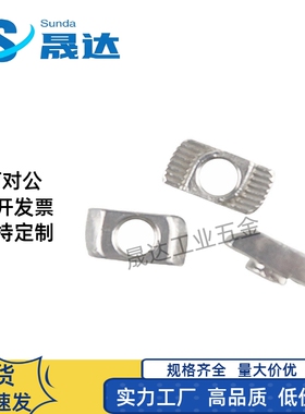 国标T型螺母30/40铝型材T型滑块螺 AHC21/23-G306/G408-M4/M5/M6
