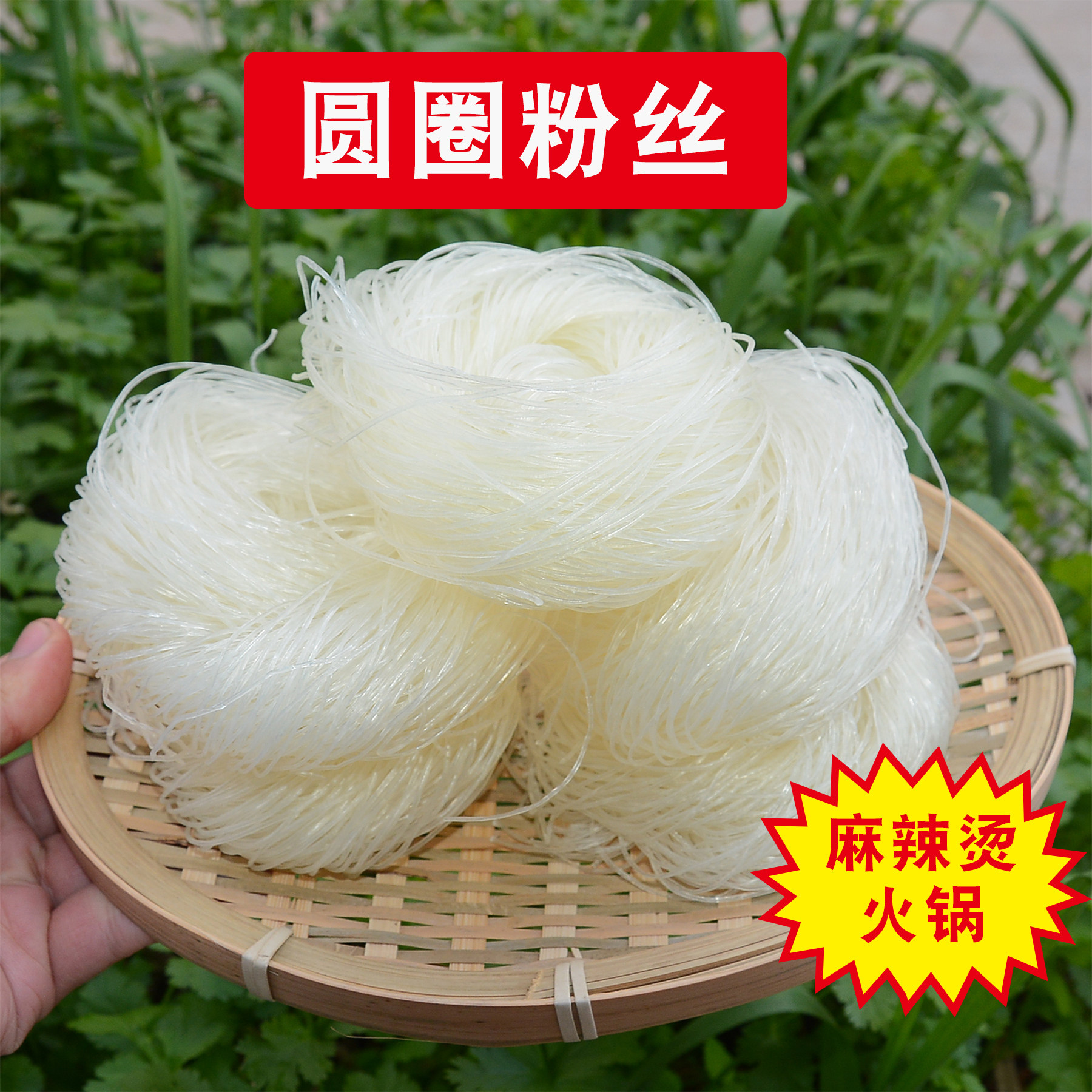 圆圈粉丝 龙口粉丝稍粗 麻辣烫花甲小火锅凉拌正宗细粉丝 3斤装