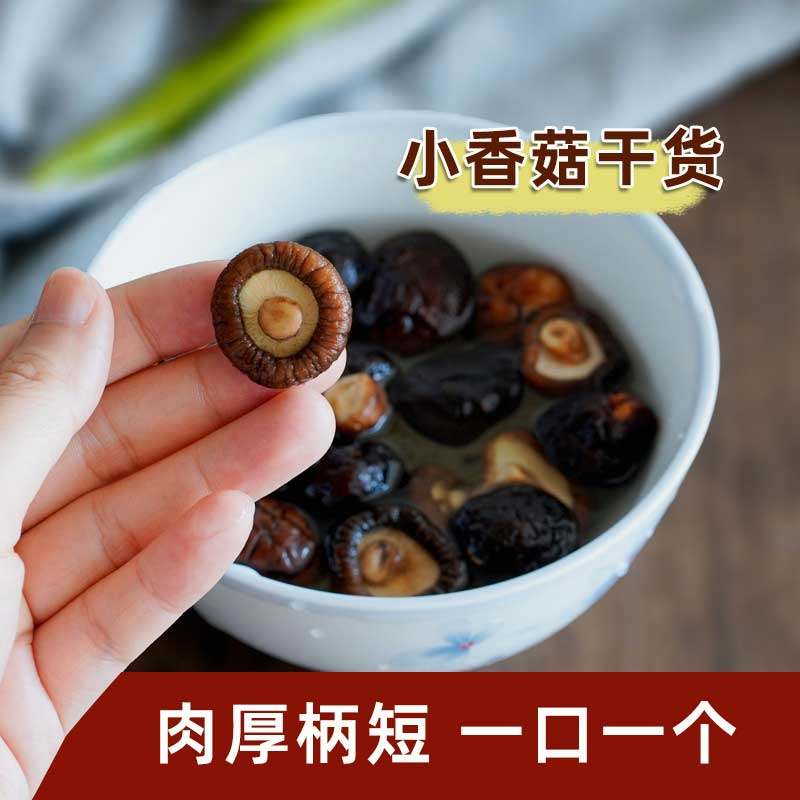 福建迷你小香菇菇包粽子食材干货黑面肉厚金钱菇珍珠菇袖珍蘑菇